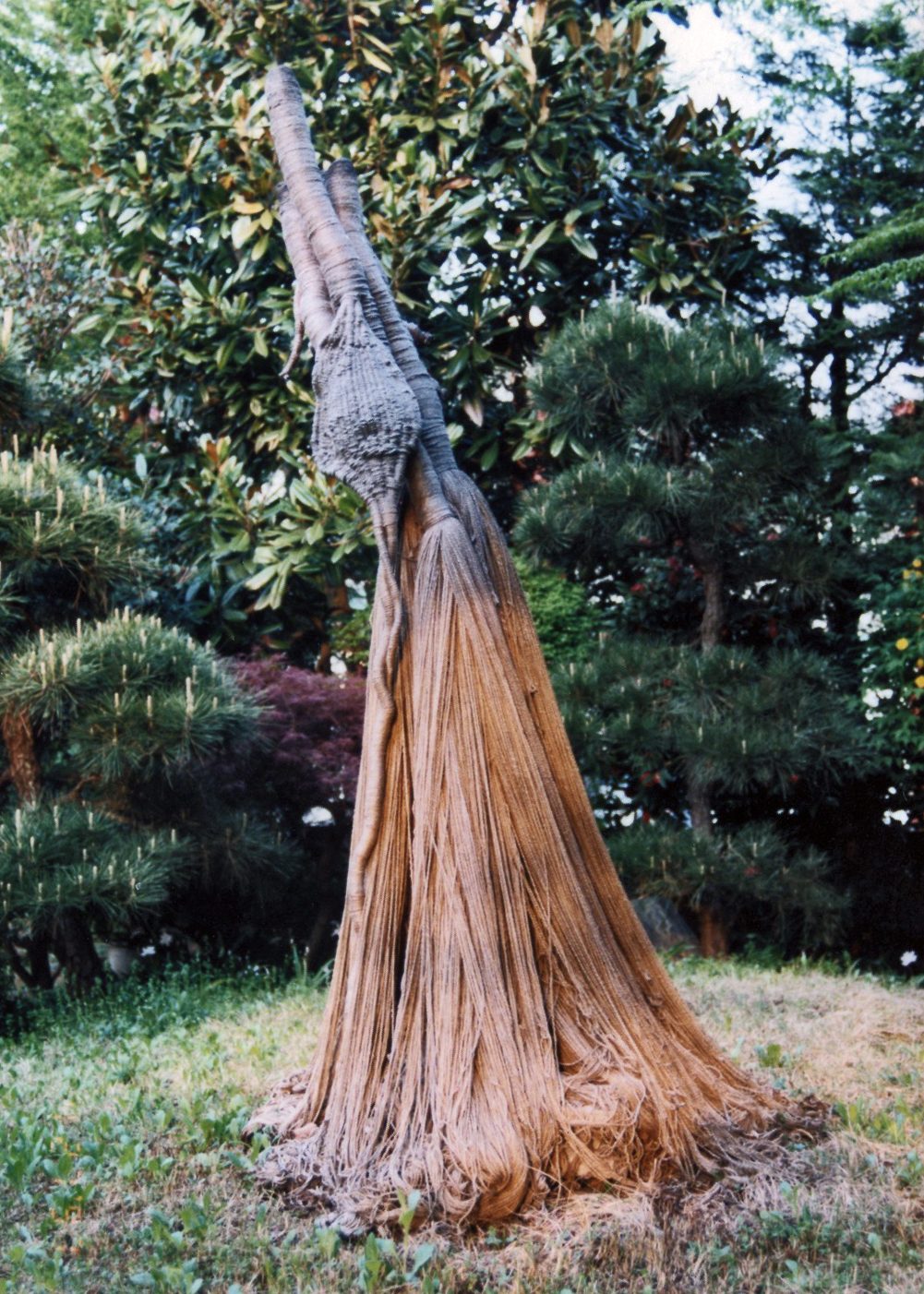 Métamorphose d'une Nymphe dans le jardin de Akio Suzuki
