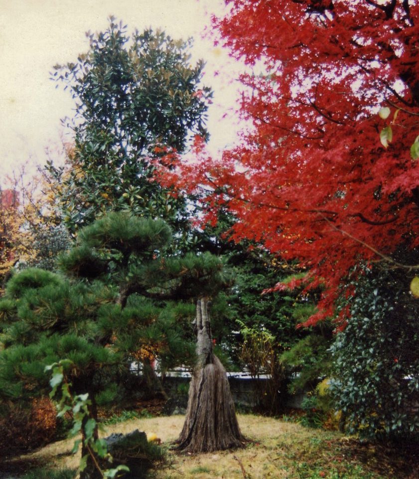Métamorphose d'une Nymphe, jardin de Akio Suzuki