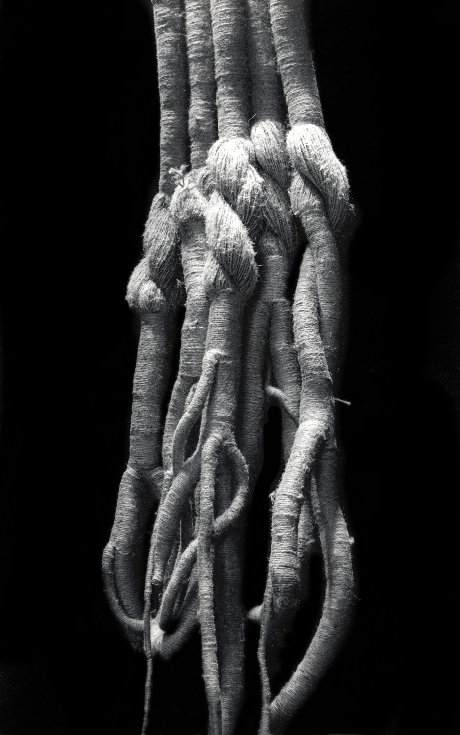 RACINE #2, jute, 1991